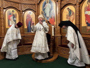 12-Праздник Богоявления Господня в главном храме епархии