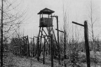 26-	 Фотогалерея, посвященная празднованию 50-летия со дня преставления преподобного Севастиана Карагандинского